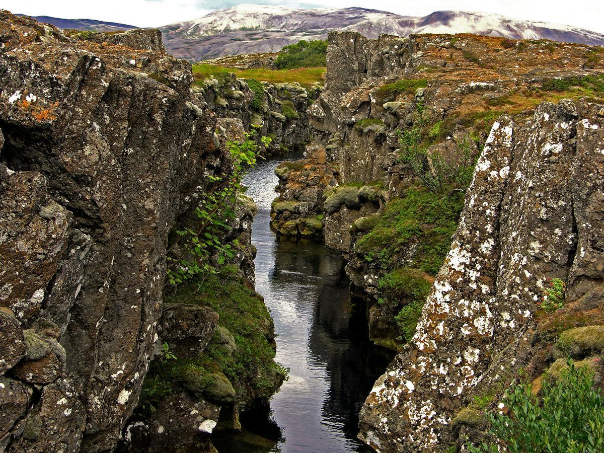 Galleri - Gistiheimili Laugarvatn Dış mekan fotoğraf