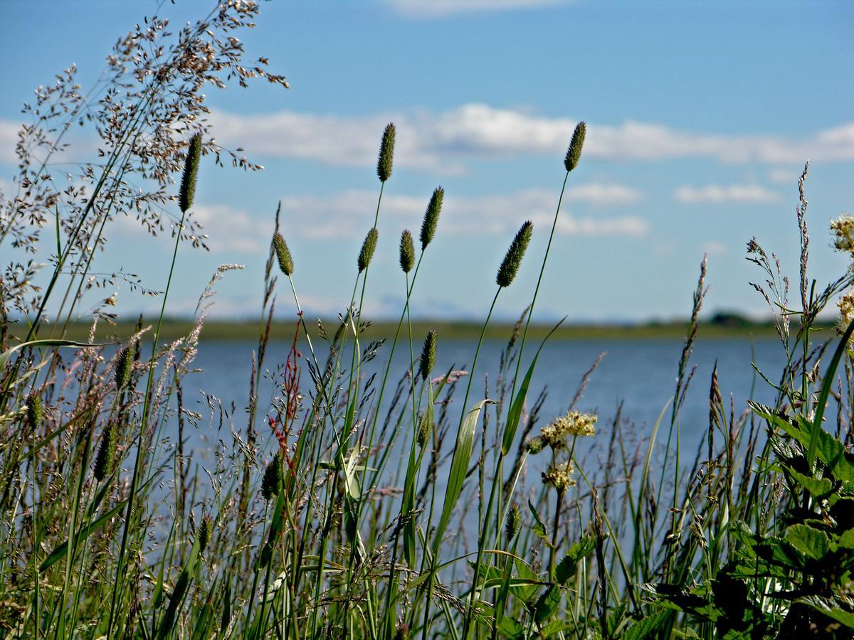 Galleri - Gistiheimili Laugarvatn Dış mekan fotoğraf