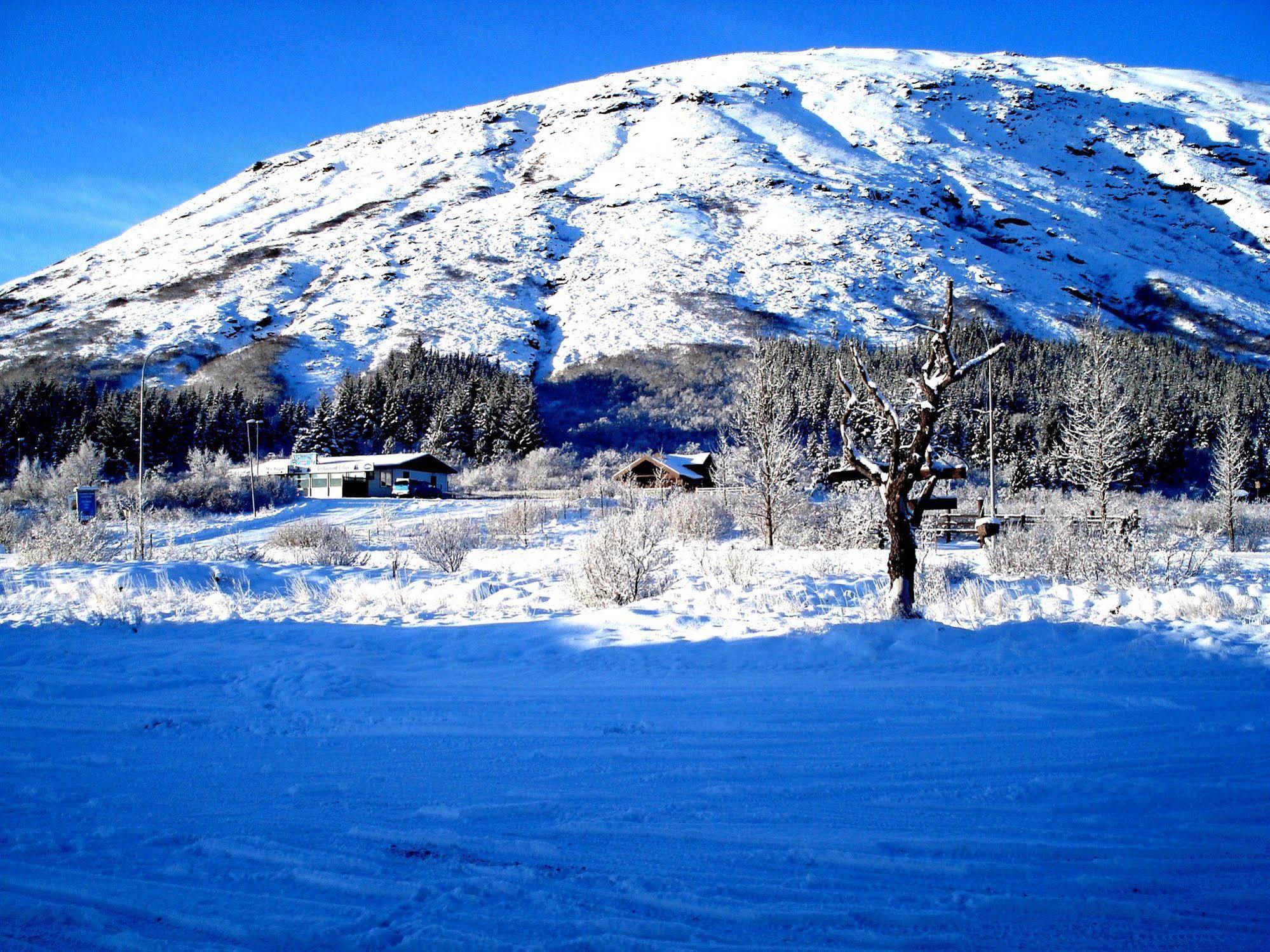 Galleri - Gistiheimili Laugarvatn Dış mekan fotoğraf